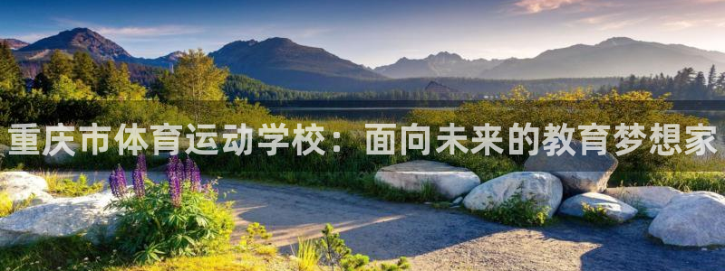 海南MK体育官网下载发展怎么样:重庆市体育运动学校:面向未来