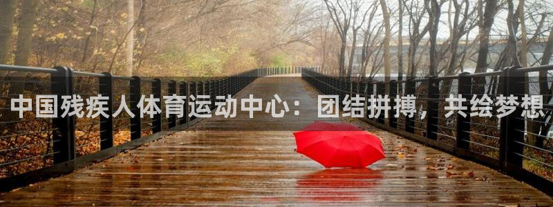 MK体育官方正版app代理:中国残疾人体育运动中心:团结拼搏