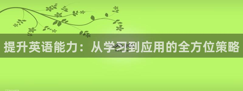 MK体育官方正版app新能源:提升英语能力:从学习到应用的全