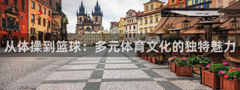 MK体育官网下载招商电话号码:从体操到篮球:多元体育文化的独