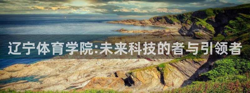 MK体育官方正版app五金厂:辽宁体育学院:未来科技的者与引