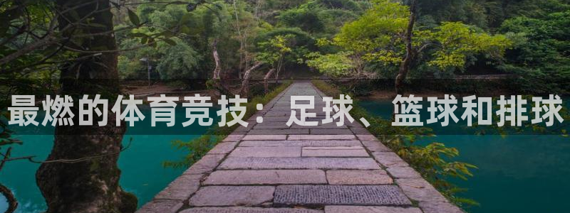 MK体育官方正版app开户:最燃的体育竞技:足球、篮球和排球